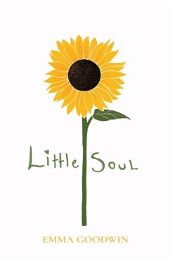 Cover Little Soul