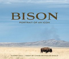 Bison - Ewald, Chase Reynolds
