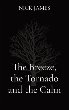 The Breeze, the Tornado and the Calm - James, Nick