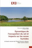 Dynamique de l¿occupation du sol et impacts sur les zones humides
