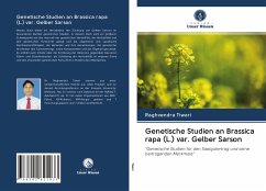 Genetische Studien an Brassica rapa (L.) var. Gelber Sarson - Tiwari, Raghvendra