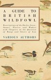A Guide to British Wildfowl - Descriptions of the Ducks, Geese, Swans, Plovers and Waders with Chapters on the Question of Range and Choice of Gun (eBook, ePUB)