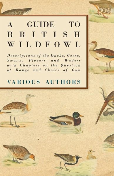 A Guide to British Wildfowl - Descriptions of the Ducks, Geese, Swans, Plovers and Waders with Chapters on the Question of Range and Choice of Gun (eBook, ePUB) A Guide to British Wildfowl - Descriptions of the Ducks, Geese, Swans, Plovers and Waders with Chapters on the Question of Range and Choice of Gun (eBook, ePUB)