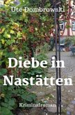 Diebe in Nastätten