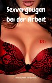 Sexvergnügen bei der Arbeit (eBook, ePUB)