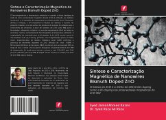 Síntese e Caracterização Magnética de Nanowires Bismuth Doped ZnO - Ahmed Kazmi, Syed Jamal;Ali Raza, Dr. Syed Raza