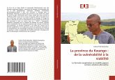 La province du Kwango : de la vulne¿rabilite¿ a¿ la viabilite¿