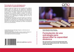 Formulación de una estrategia para desarrollar la capacidad dinámica