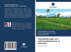 Haushaltsbudget und Lebensmittelkonsum in Kibumba - Mishona Otahete, Michée;Ngola Le Sage, Muhumutsa;Matabaro, Enock