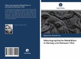 Historiographische Metafiktion in Herzog und Hamoon-Film