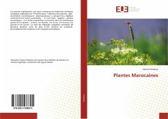 Plantes Marocaines - Chataoui, Hamza