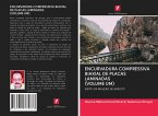 ENCURVADURA COMPRESSIVA BIAXIAL DE PLACAS LAMINADAS (VOLUME UM)