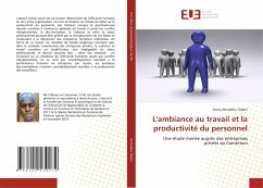 L'ambiance au travail et la productivité du personnel - Ahmadou Tidjani, Serno