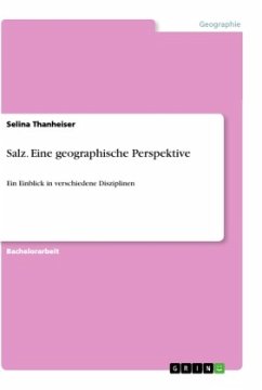 Salz. Eine geographische Perspektive - Thanheiser, Selina