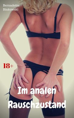 Cover Im analen Rauschzustand (eBook, ePUB)