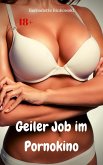 Geiler Job im Pornokino (eBook, ePUB)