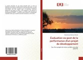 Évaluation ex-post de la performance d'un projet de développement