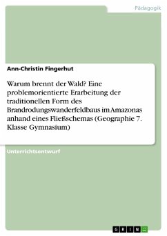 Warum brennt der Wald? Eine problemorientierte Erarbeitung der traditionellen Form des Brandrodungswanderfeldbaus im Amazonas anhand eines Fließschemas (Geographie 7. Klasse Gymnasium) - Fingerhut, Ann-Christin