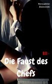 Die Faust des Chefs (eBook, ePUB)