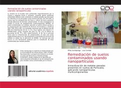Remediación de suelos contaminados usando nanopartículas - Llumiquinga, Erika;Cumbal, Luis