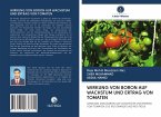 WIRKUNG VON BORON AUF WACHSTUM UND ERTRAG VON TOMATEN