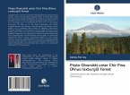 Phyto-Diversität unter Chir Pine (Pinus roxburgii) Forest