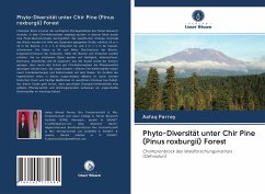Phyto-Diversität unter Chir Pine (Pinus roxburgii) Forest - Parrey, Aafaq