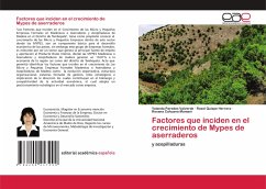 Factores que inciden en el crecimiento de Mypes de aserraderos - Paredes Valverde, Yolanda;Quispe Herrera, Rosel;Cahuana Mamani, Roxana