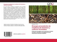 Energía procedente de residuos de biomasa y cultivos forestales