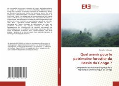 Quel avenir pour le patrimoine forestier du Bassin du Congo ? - Katsongo, Kamathe