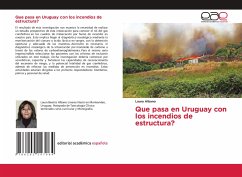 Que pasa en Uruguay con los incendios de estructura?