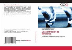 Concentración de Minerales