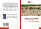 Production agropastorale pour l¿émergence de la Province du Kwilu