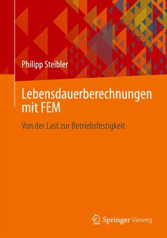 Lebensdauerberechnungen mit FEM - Steibler, Philipp