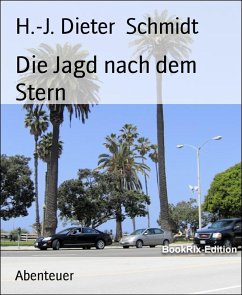 Die Jagd nach dem Stern (eBook, ePUB) - Dieter Schmidt, H.-J.