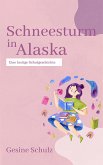 Schneesturm in Alaska (eBook, ePUB)