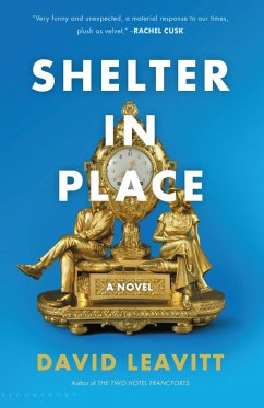 Shelter in Place (eBook, ePUB) - Leavitt, David