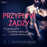 Przypływ żądzy - 10 gorących i podniecających opowiadań erotycznych B. J. Hermanssona (MP3-Download)