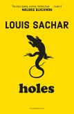 Holes (eBook, PDF)