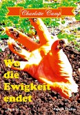 Wo die Ewigkeit endet (eBook, ePUB)