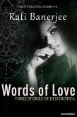 Words of Love: Three Stories of Desi Erotica (Preeti's Wedding, #2) (eBook, ePUB)