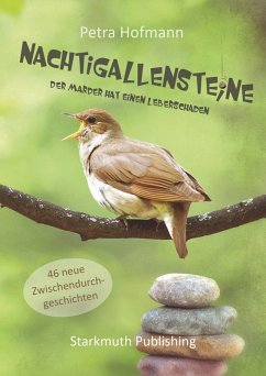 Nachtigallensteine (eBook, ePUB) - Hofmann, Petra