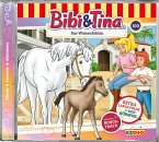 Das Waisenfohlen / Bibi & Tina Bd.100 (CD)