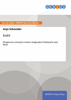 Erdöl (eBook, PDF) - Schneider, Anja