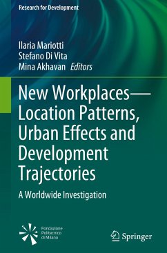 New Workplaces¿Location Patterns, Urban Effects and Development Trajectories