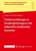 Schülervorstellungen zu Geradengleichungen in der vektoriellen Analytischen Geometrie