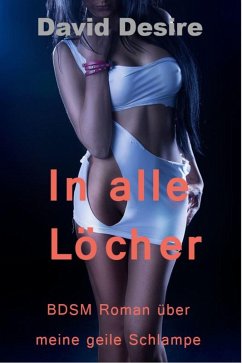 In alle Löcher (eBook, ePUB) - Desire, David