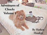 The Adventures of Chuck: Volume 1 (eBook, ePUB)