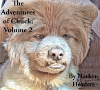The Adventures of Chuck: Volume 2 (eBook, ePUB)
