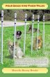 Four Dogs and Their Tales (eBook, ePUB) - Bild 1